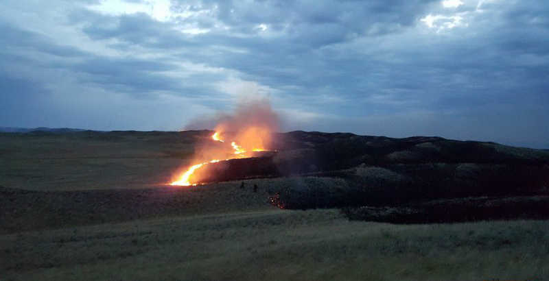 Большой пожар: степное возгорание тушили в течение суток